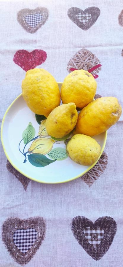Margherita House Sorrento Vico Equense Zewnętrze zdjęcie